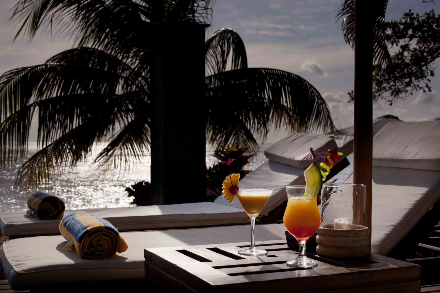 bali dive yoga wellness