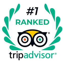 Trip Advisor Ranking